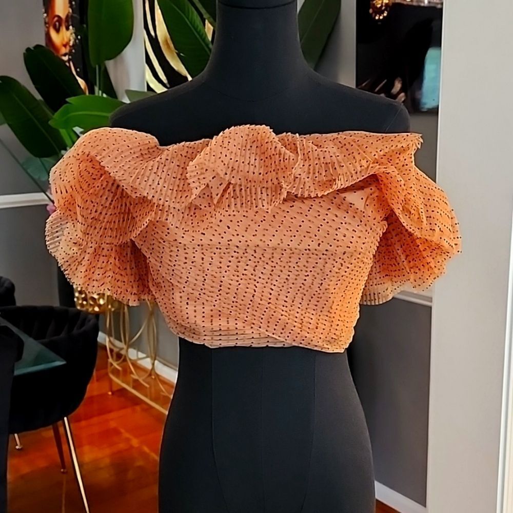 Zara polka dot ruffle cropt top sz medium